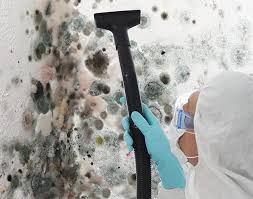 Why You Should Choose Our Mold Remediation Services in Ansonia, OH